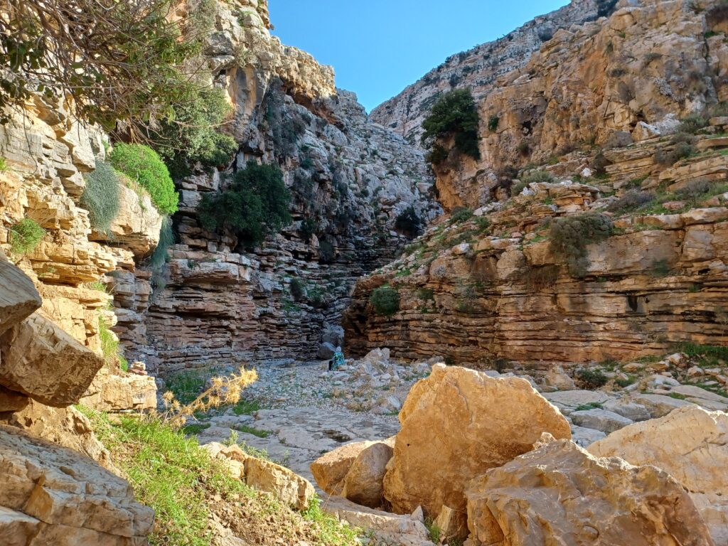 About Me 20260117 142658